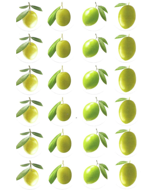 זיתים רקע שקוף