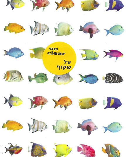 דגים רקע שקוף
