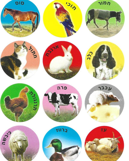 תמונות - חיות בית