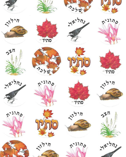 סימנים של סתיו עם כיתוב