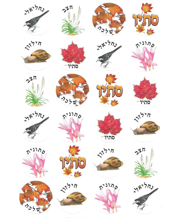 סימנים של סתיו עם כיתוב