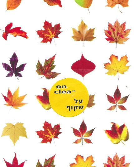 שלכת רקע שקוף