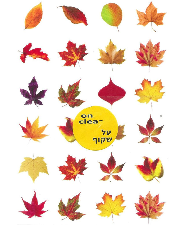 שלכת רקע שקוף