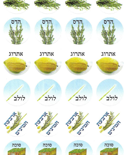 סוכות - ארבעת המינים - עגול