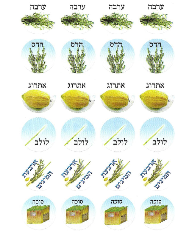 סוכות - ארבעת המינים - עגול