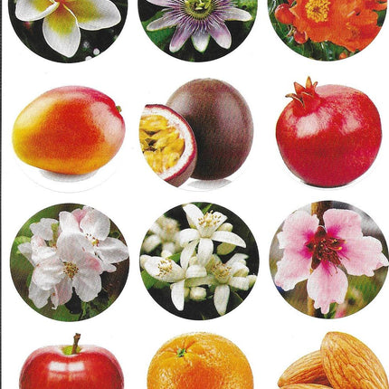 Collection image for: טו בשבט