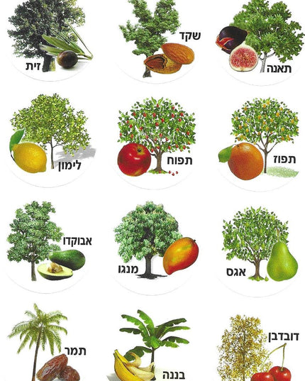 ט"ו בשבט - עץ ופרותיו