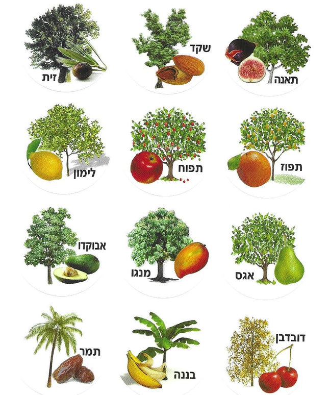 ט"ו בשבט - עץ ופרותיו