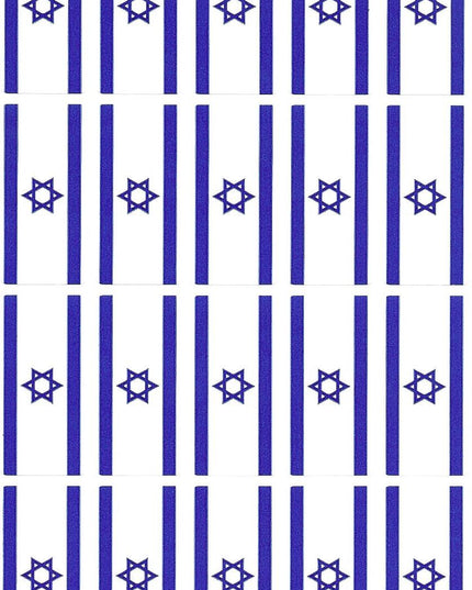 דגל ישראל קטן