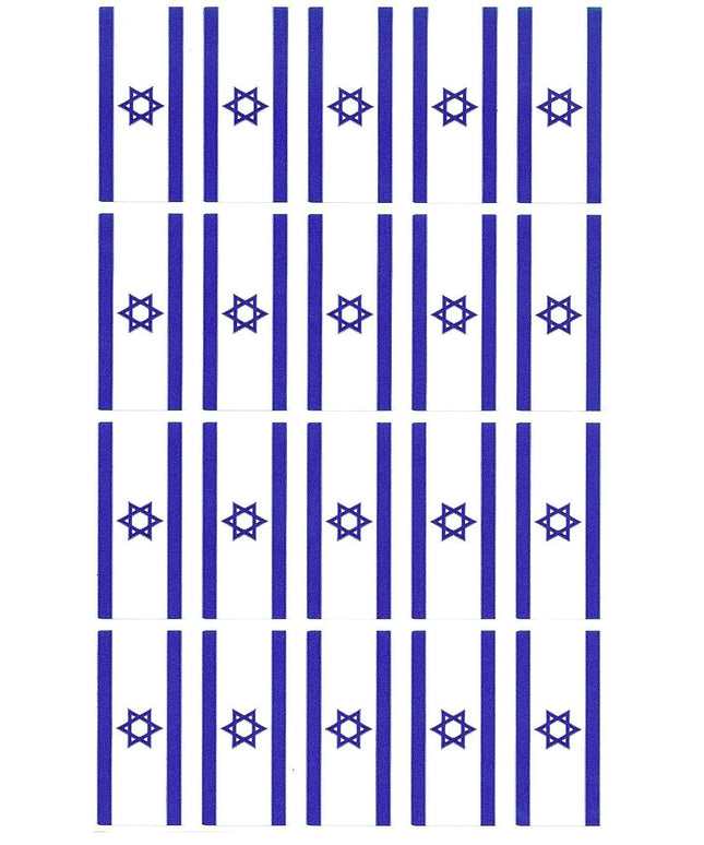 דגל ישראל קטן